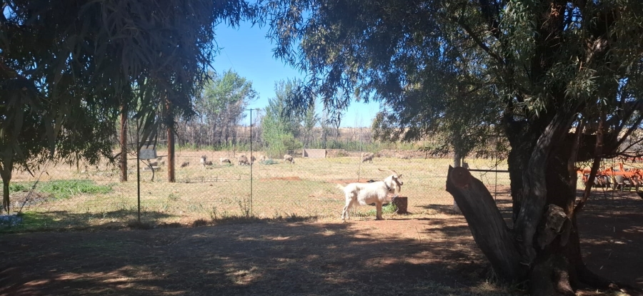 Commercial Property for Sale in Bloemfontein Rural Free State